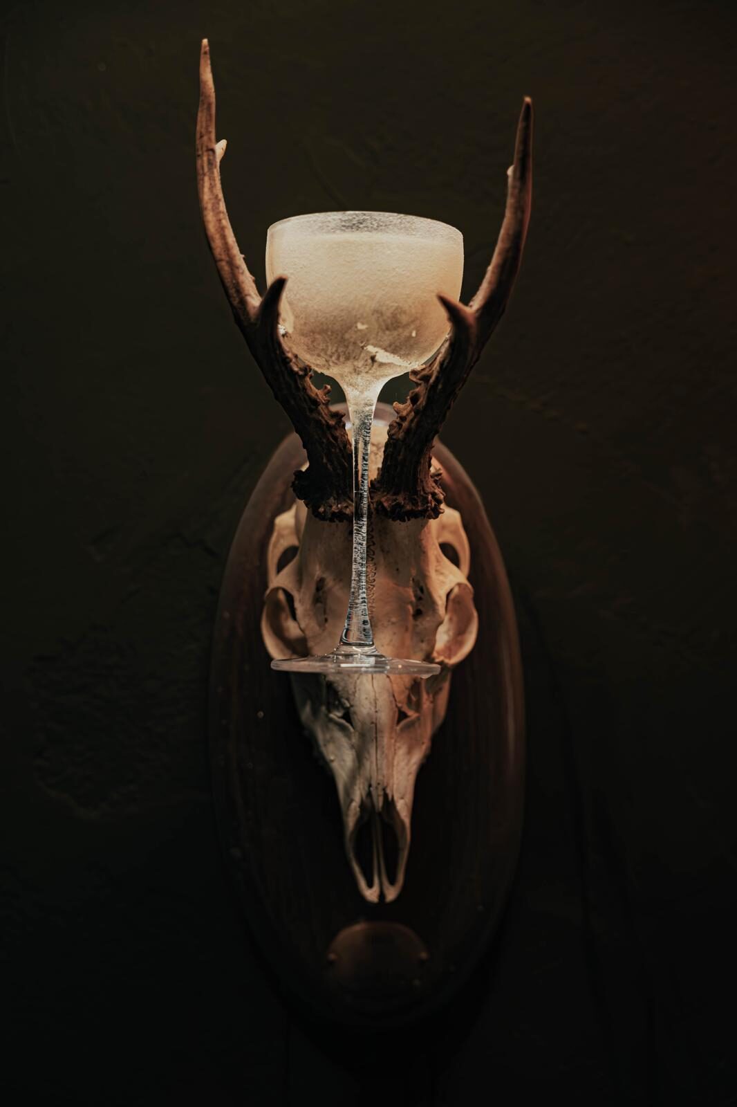 A roe deer skull on the wall, its antlers cradling a coupe of pale foamed cocktail